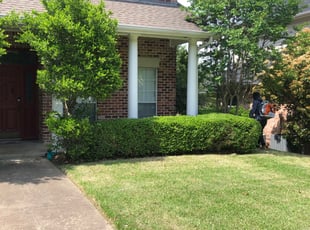 Lee W.'s Bush Trimming service result