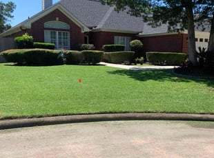 Noah M.'s lawn maintenance service result