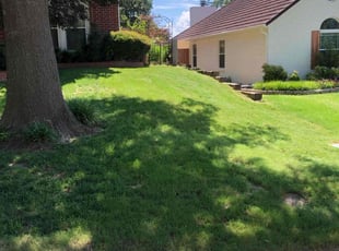 Kelly B.'s turf maintenance service result