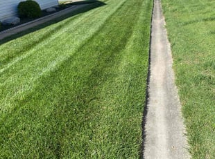 Bill B.'s grass cutting service result