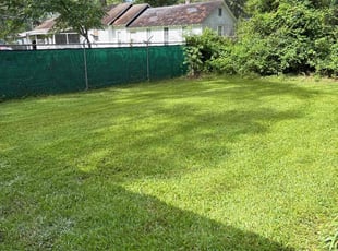 Cassandra I.'s lawn care services service result