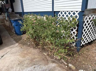 Stephen S.'s Bush Trimming service result