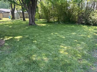 Rochelle J.'s turf care service result