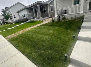 Tommy K.'s lawn care service result