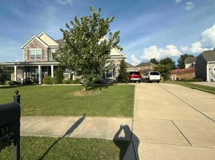 Sal L.'s lawn care services service result