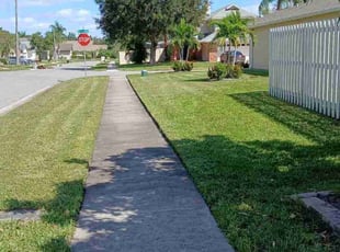 Lori W.'s grass maintenance service result