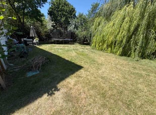 Clyde C.'s lawn service service result