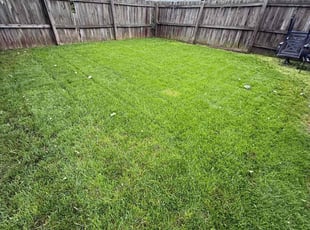 Danielle H.'s lawn care services service result