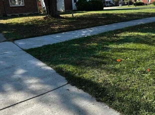 Isiah D.'s grass cutting service result