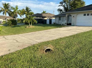 Tejal G.'s lawn service service result