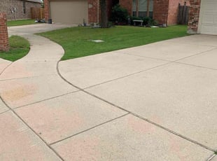 Chelsey B.'s turf care service result