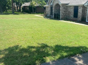 Virgil R.'s turf maintenance service result