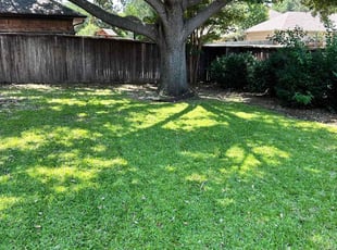 Paula M.'s lawn care services service result