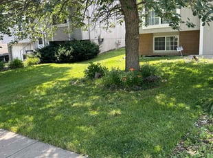 Jeranica G.'s turf care service result