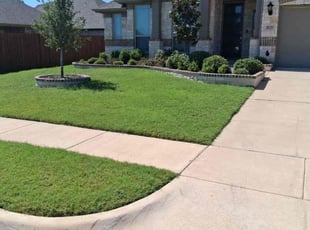 Marian D.'s lawn service service result