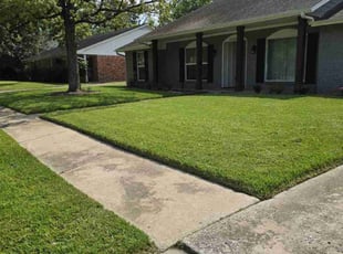 Brock M.'s turf care service result