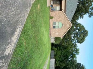 Deneen W.'s grass maintenance service result