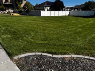 Dennis B.'s lawn care service result