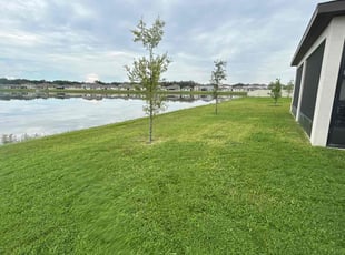 Doug L.'s turf care service result