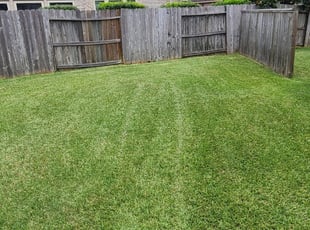 Margaret A.'s turf maintenance service result