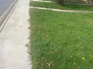 Bryant W.'s turf maintenance service result