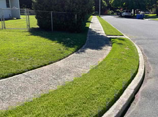 John L.'s turf maintenance service result
