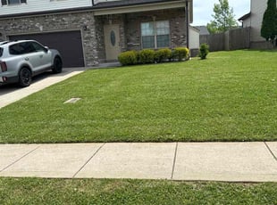 Kathleen B.'s lawn service service result