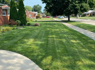 Reagan C.'s lawn care service result