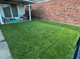 Amy P.'s grass maintenance service result