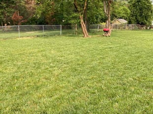 Deborah A.'s lawn service service result