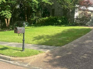 Hailee C.'s grass cutting service result