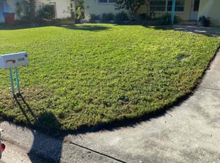 Donna K.'s turf care service result