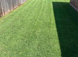 Bat C.'s landscape maintenance service result