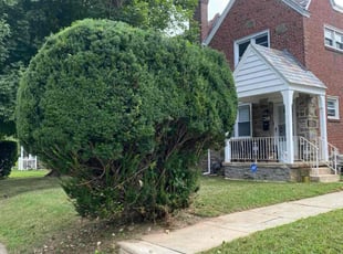 Joe E.'s lawn care service result