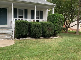 Susan H.'s Bush Trimming service result