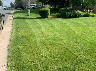 Killey W.'s turf maintenance service result