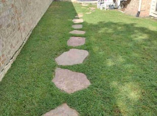 Jennifer M.'s lawn care service result