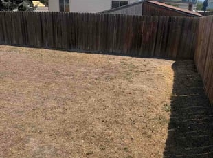 Natalie H.'s lawn care services service result