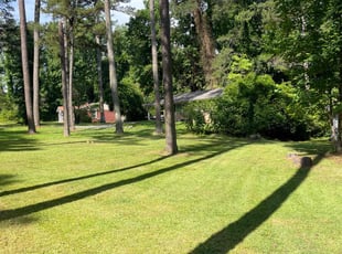 Sean R.'s turf care service result