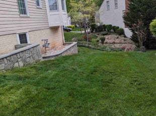 Ed M.'s Long Grass Cleanup service result