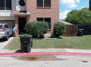Dorothy G.'s Bush Trimming service result