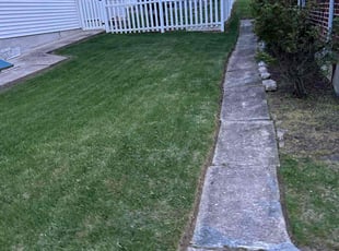 Tamika L.'s lawn service service result