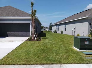 Monica M.'s grass maintenance service result