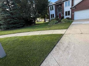 Beth W.'s grass maintenance service result