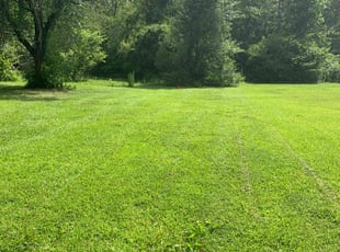 Michelle O.'s lawn care service result