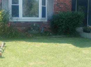 Peter C.'s lawn care service result