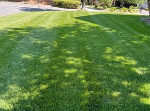 Jennifer S.'s turf maintenance service result