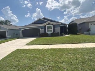 Jessika S.'s turf care service result