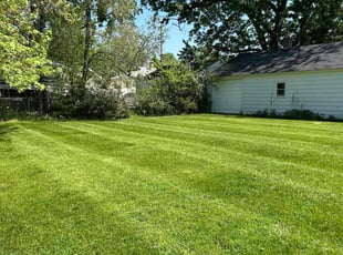 Rachel B.'s turf care service result