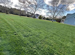 Jeanie D.'s lawn care service result